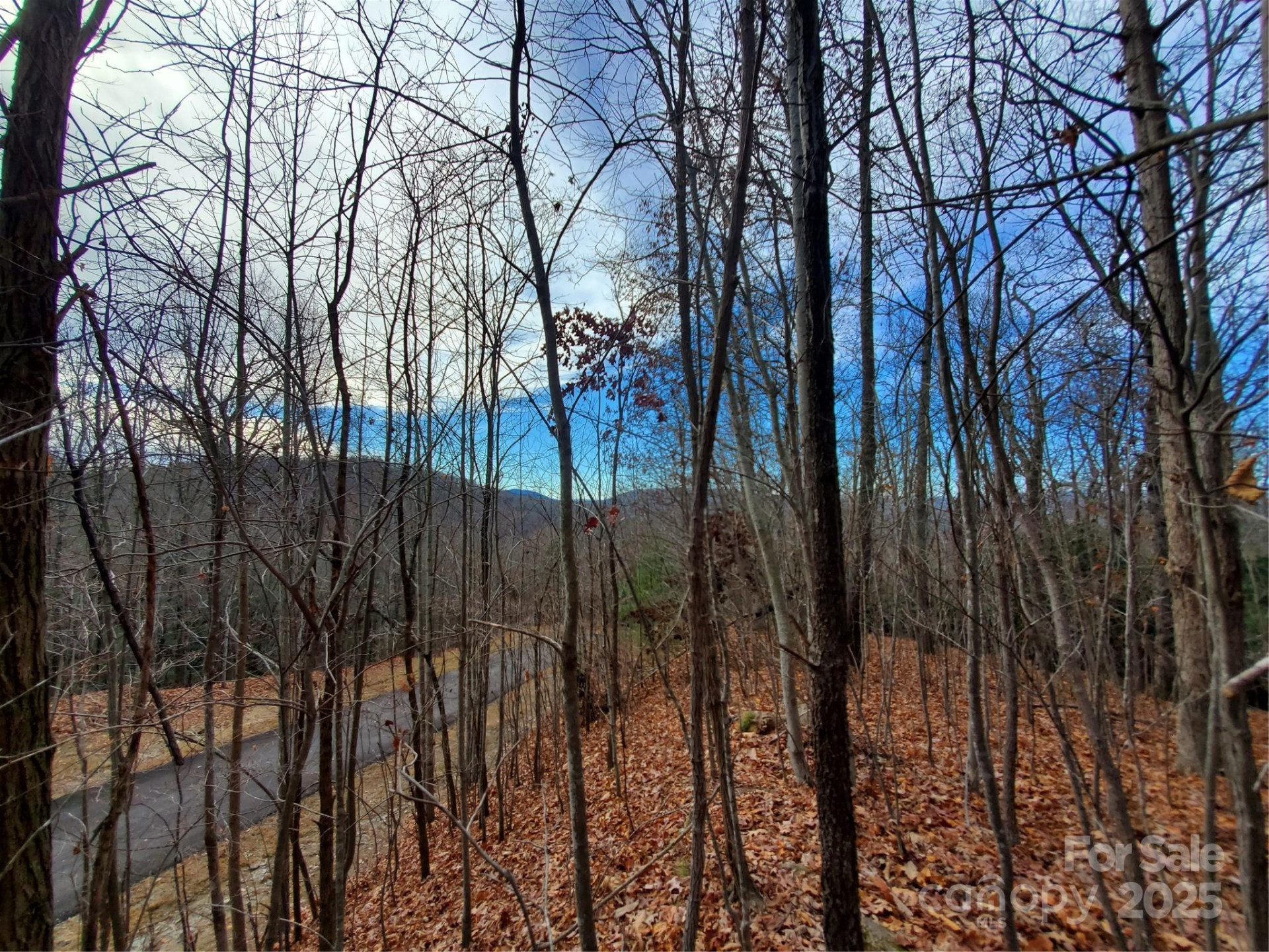 100 Ivywood Lane - Photo 26