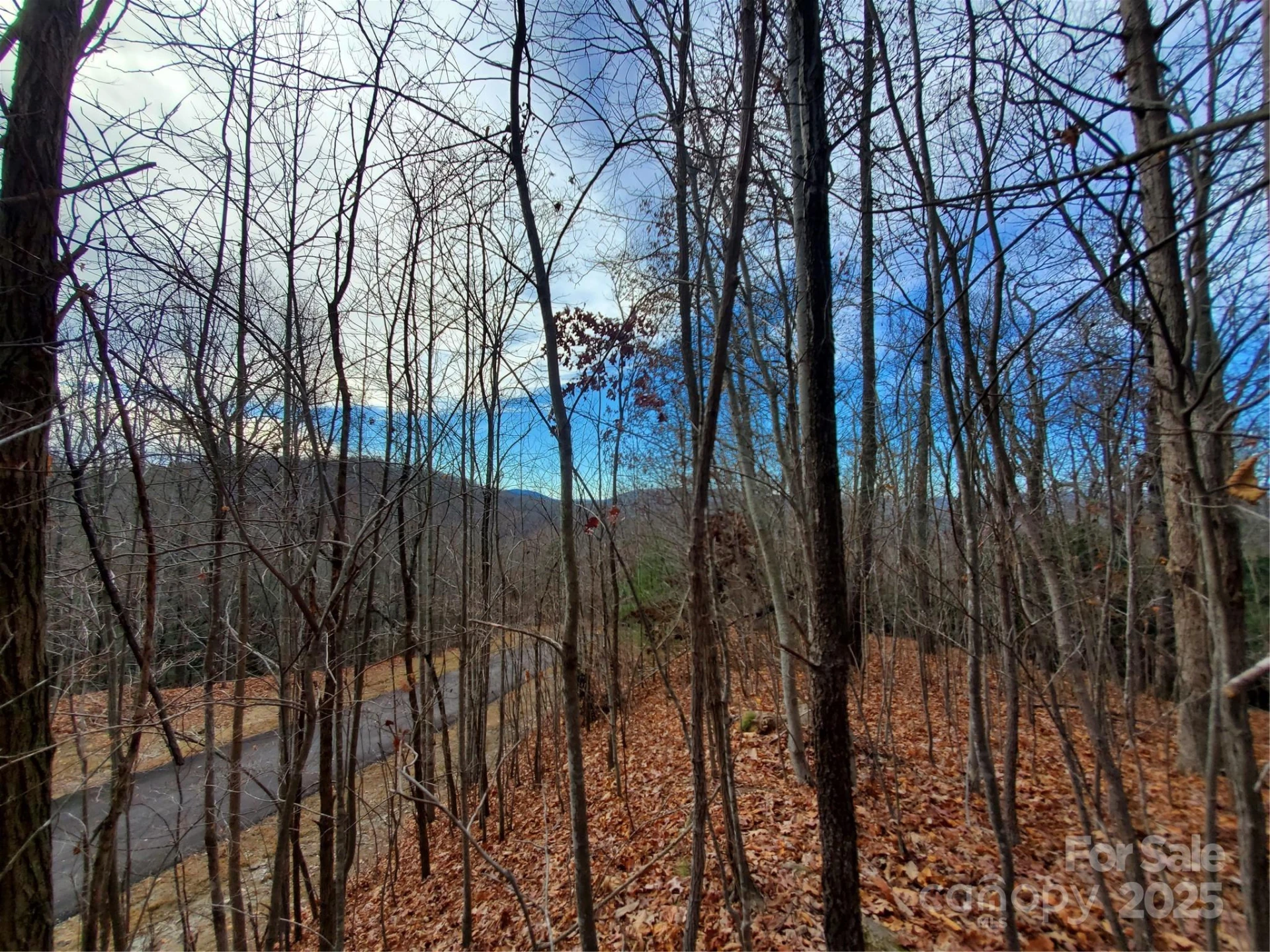 100 Ivywood Lane - Photo 26