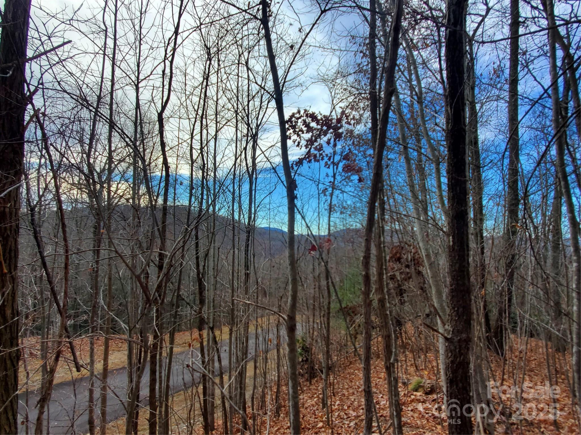 100 Ivywood Lane - Photo 27