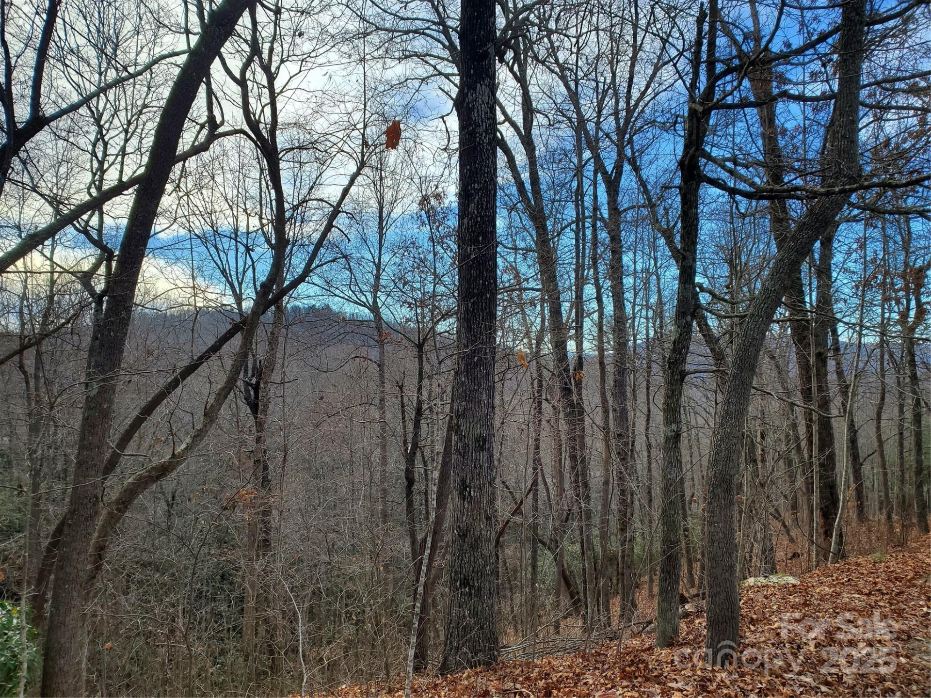 100 Ivywood Lane - Photo 28