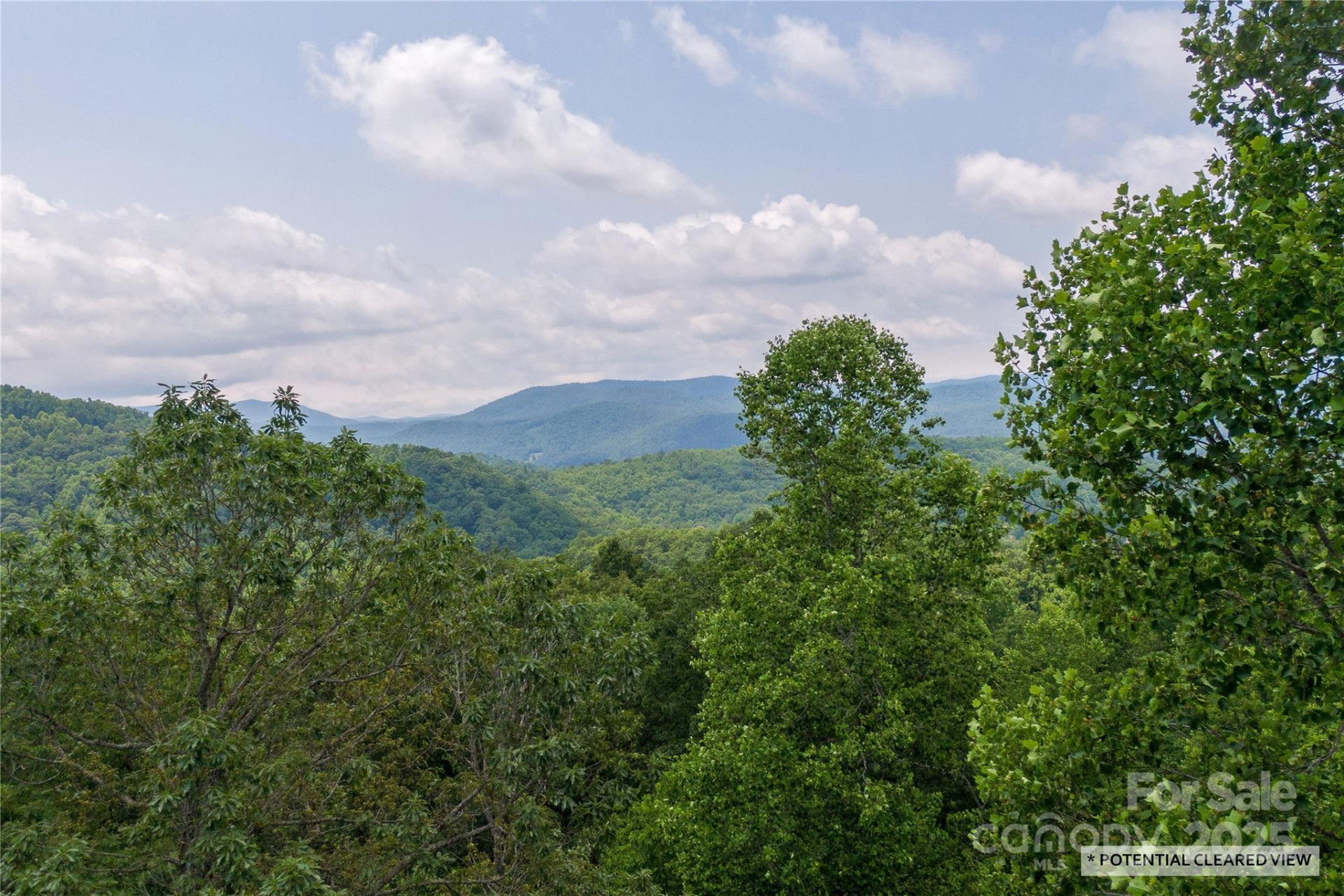 100 Ivywood Lane - Photo 4