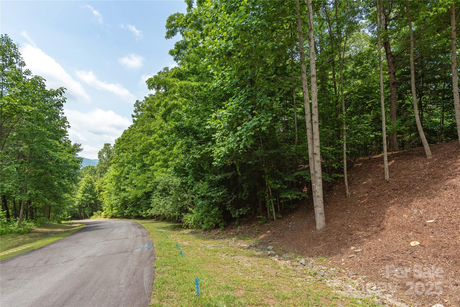 100 Ivywood Lane - Photo 5