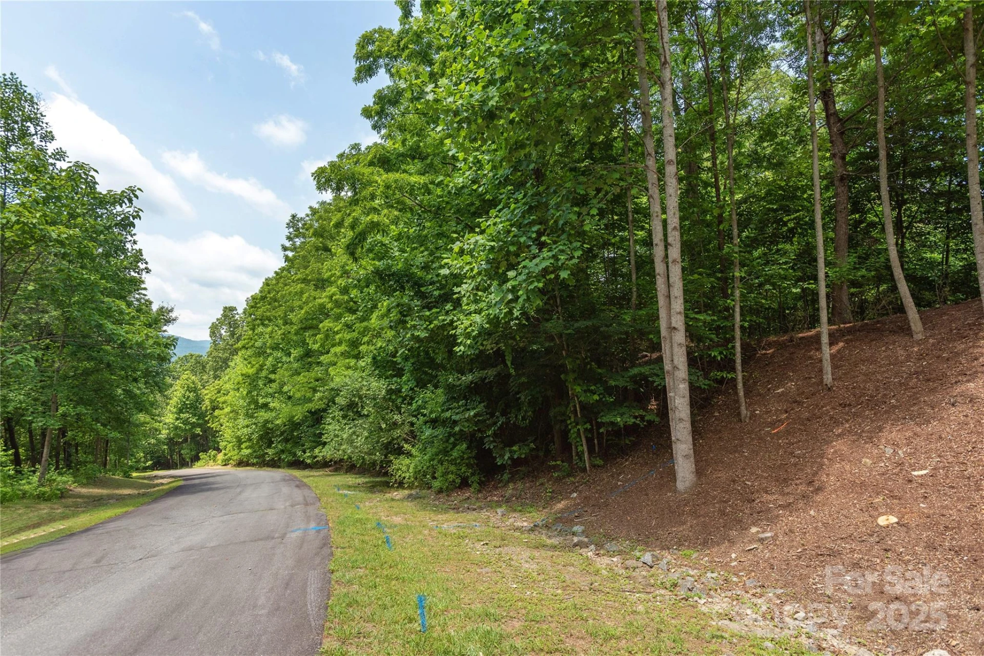 100 Ivywood Lane - Photo 5