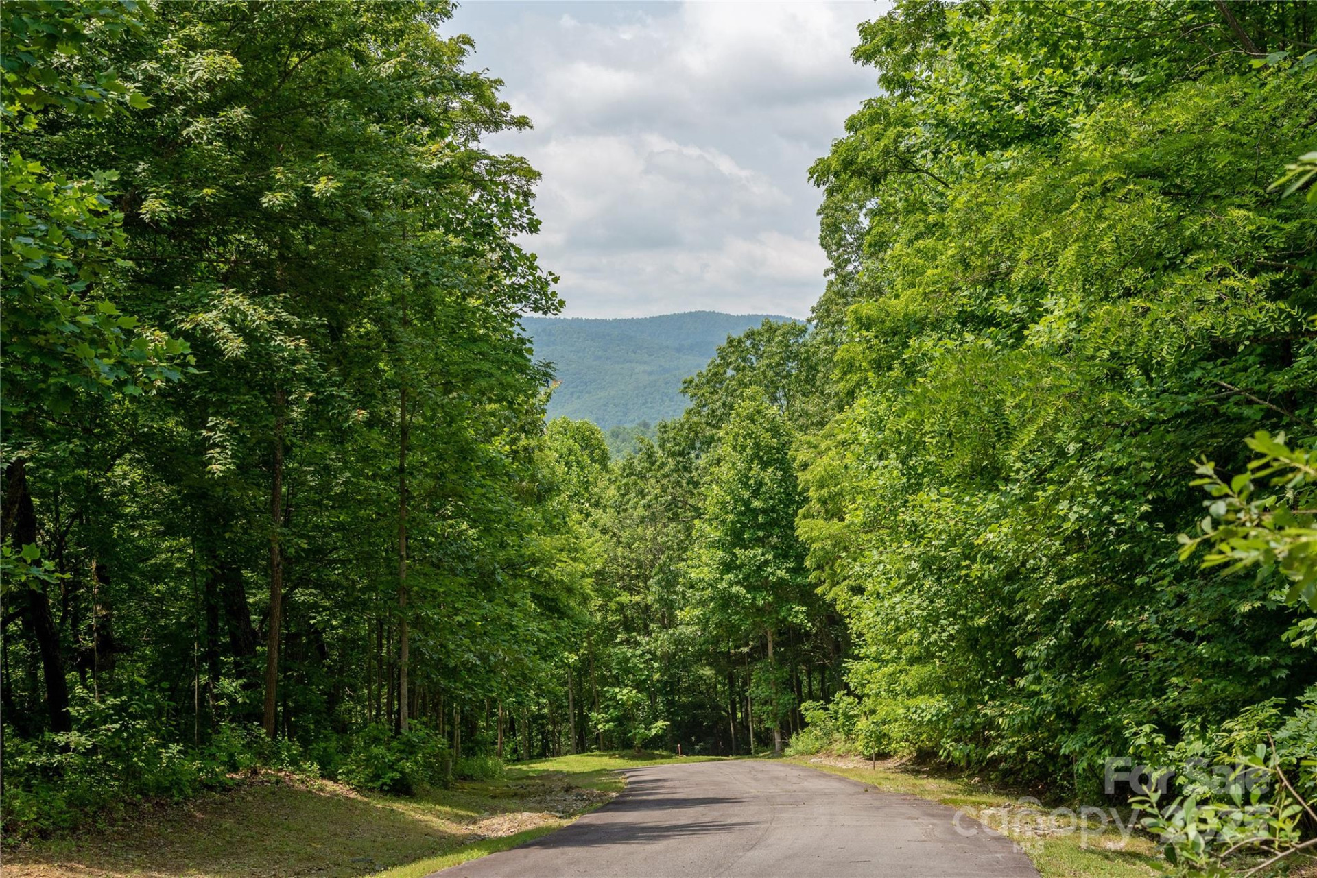 100 Ivywood Lane - Photo 6