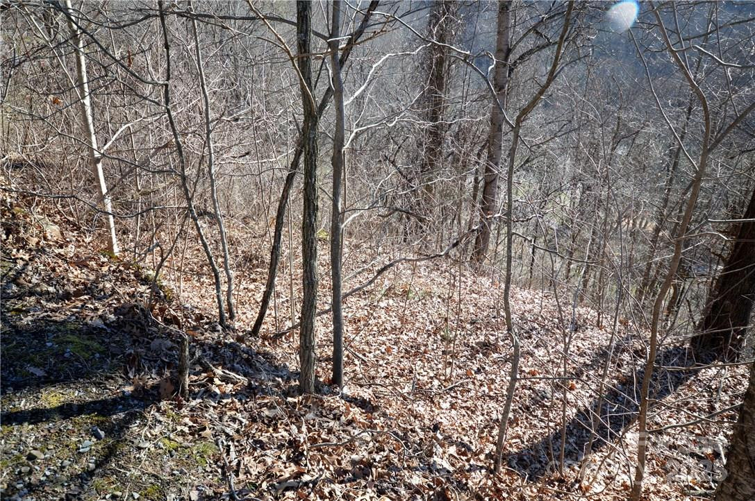 24 Lochmoor Lane - Photo 3