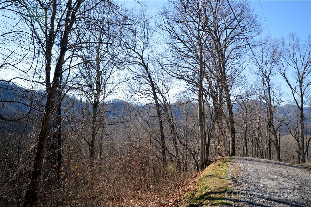 24 Lochmoor Lane - Photo 6