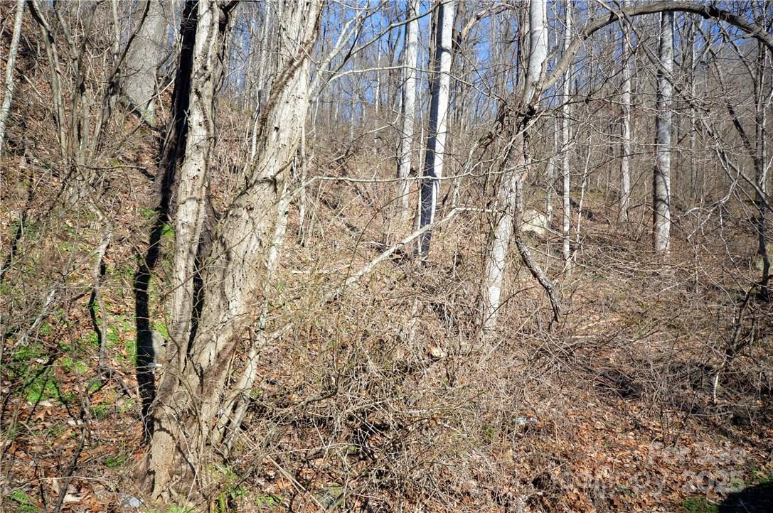 24 Lochmoor Lane - Photo 8