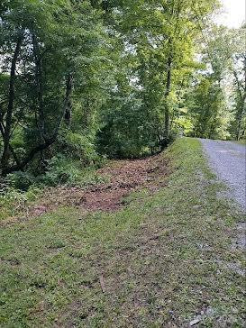 24 Lochmoor Lane - Photo 10