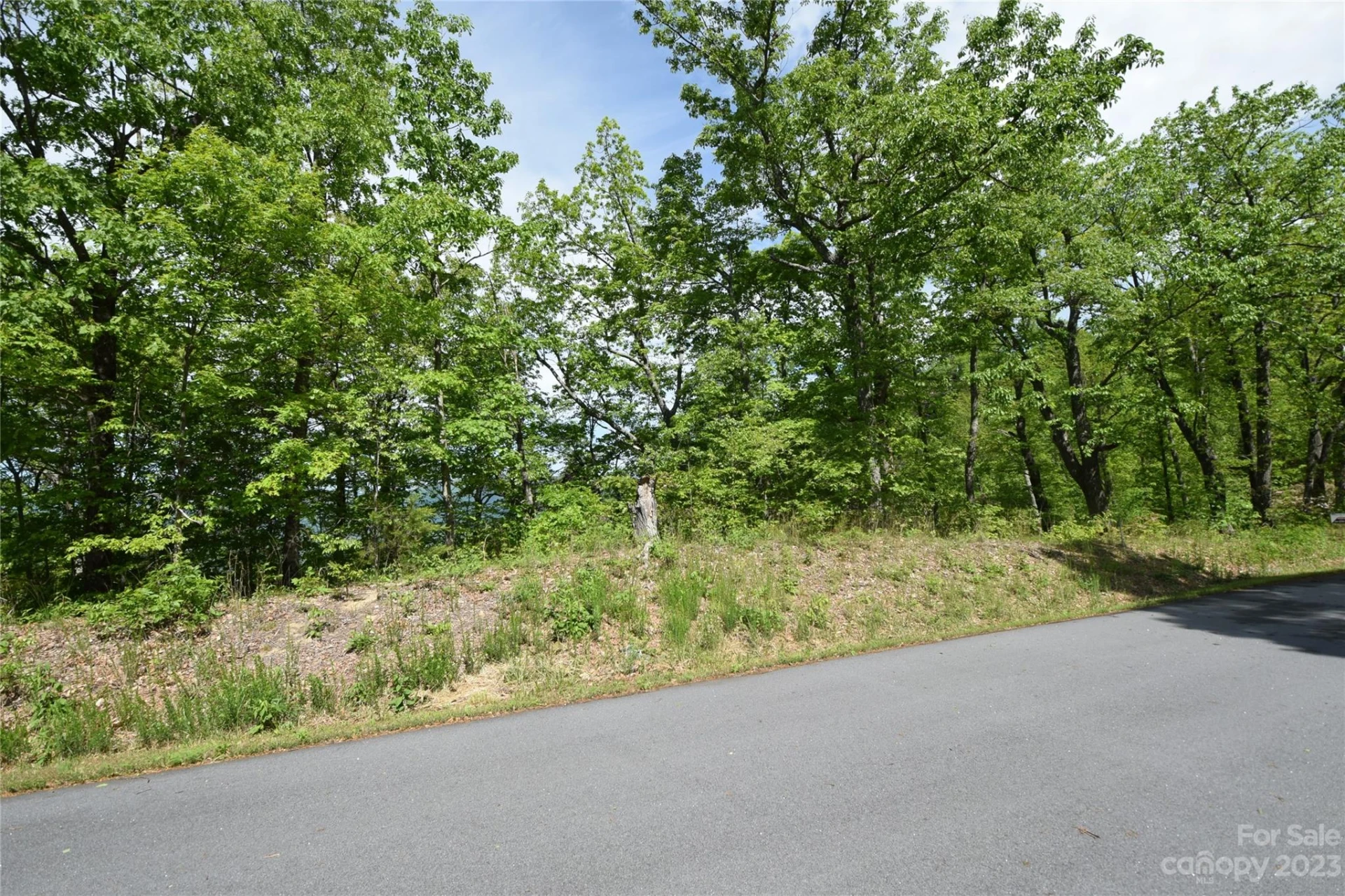 94 Devin Ridge Lane - Photo 11