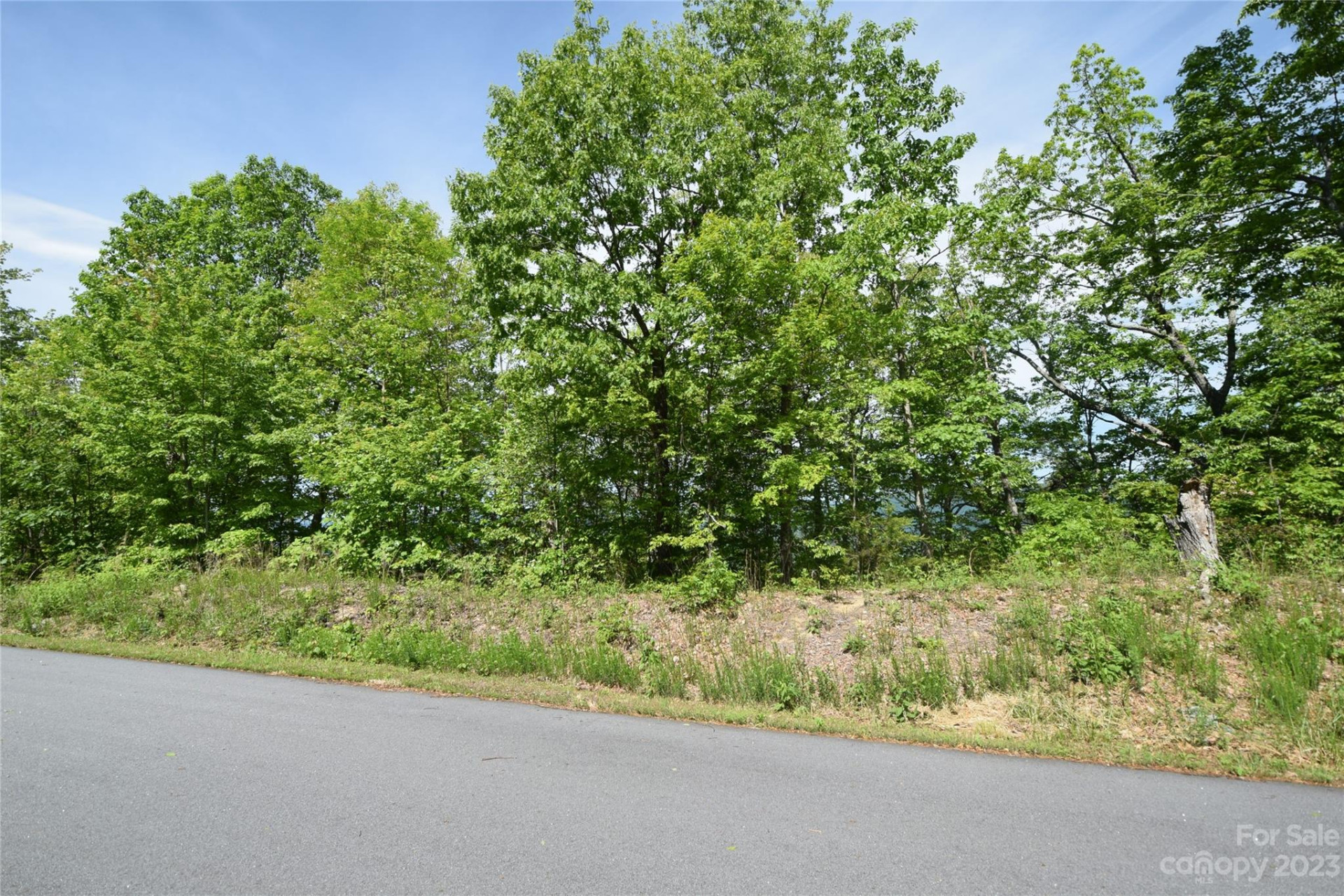 94 Devin Ridge Lane - Photo 12