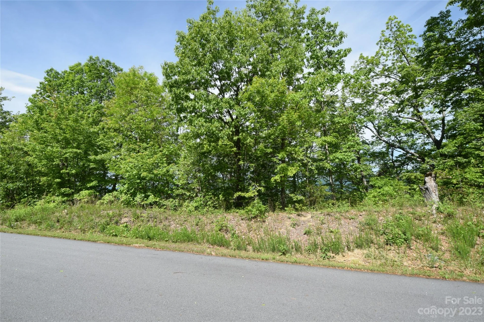 94 Devin Ridge Lane - Photo 12