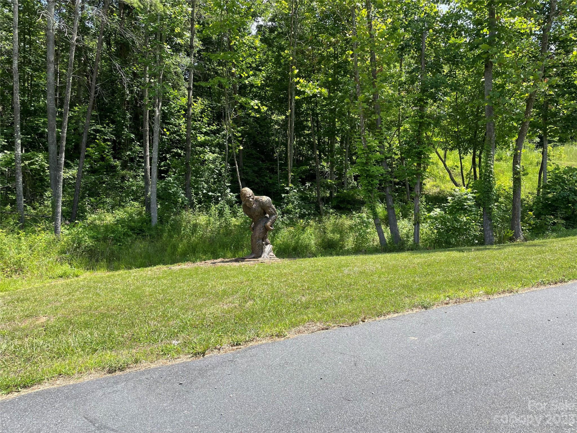 94 Devin Ridge Lane - Photo 16