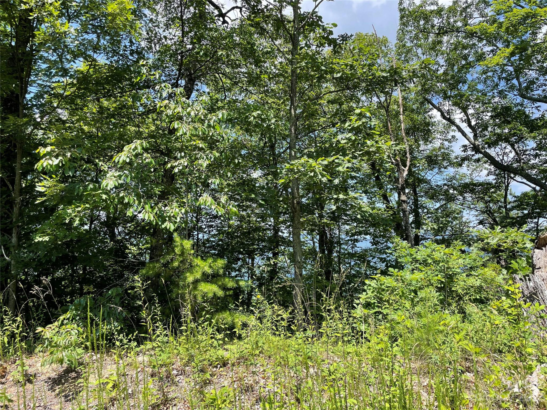 94 Devin Ridge Lane - Photo 19