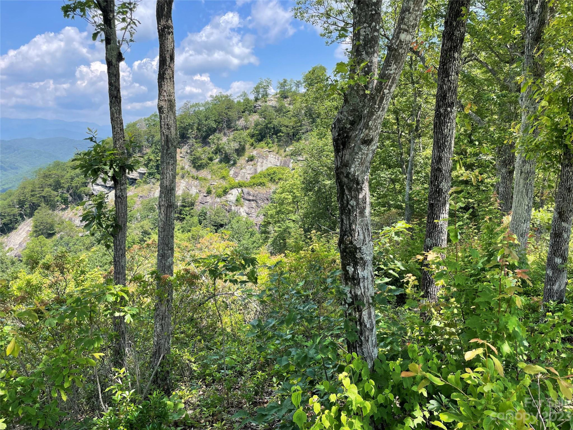 94 Devin Ridge Lane - Photo 23