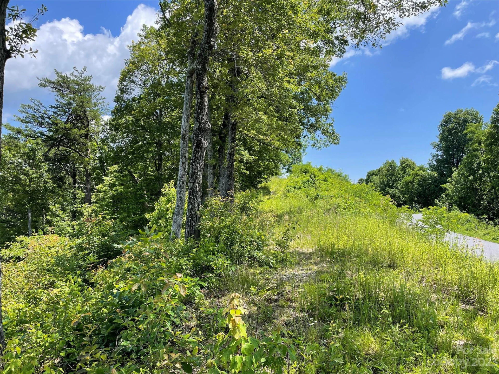 94 Devin Ridge Lane - Photo 26