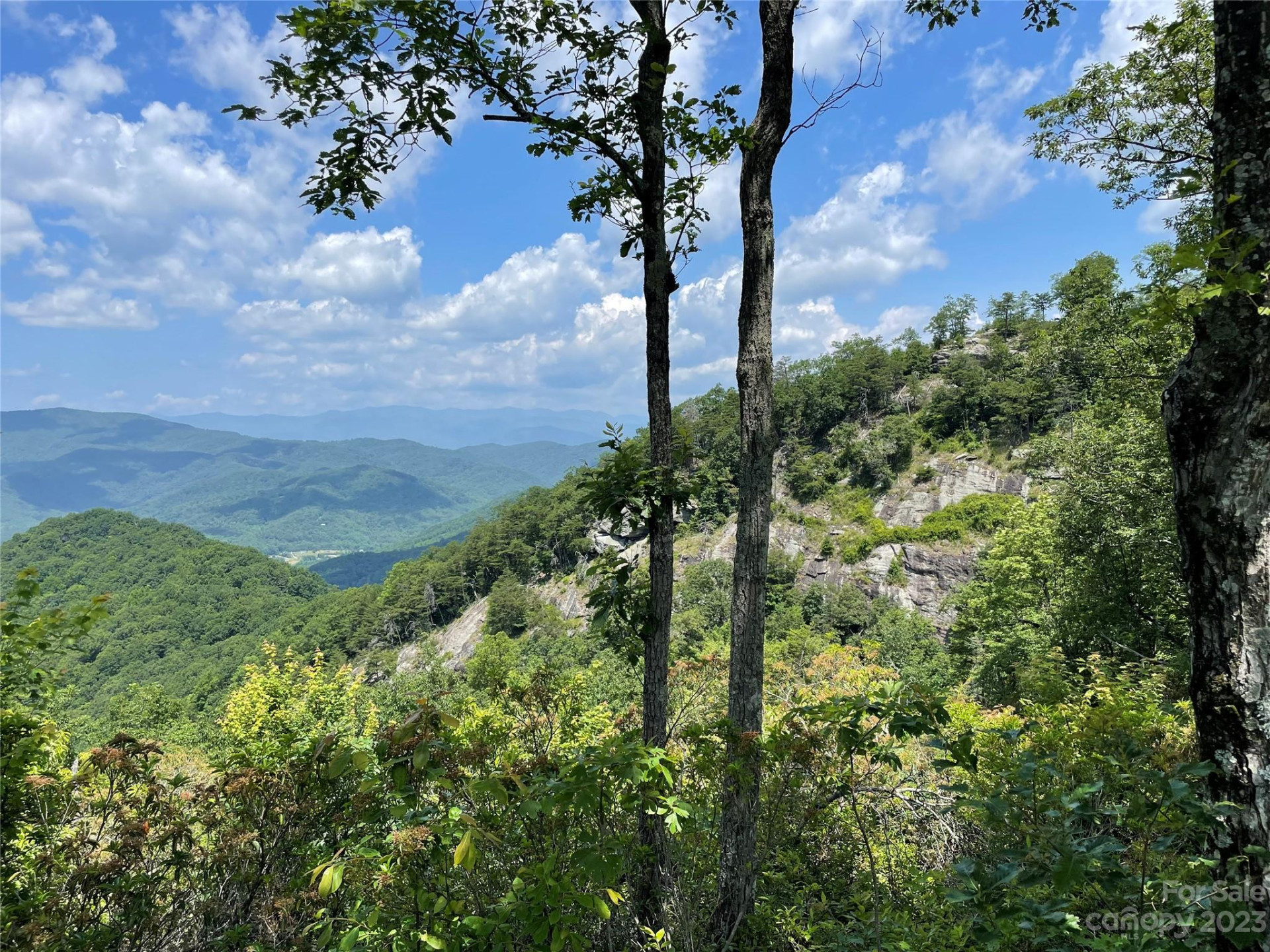 92 Devin Ridge Lane - Photo 25