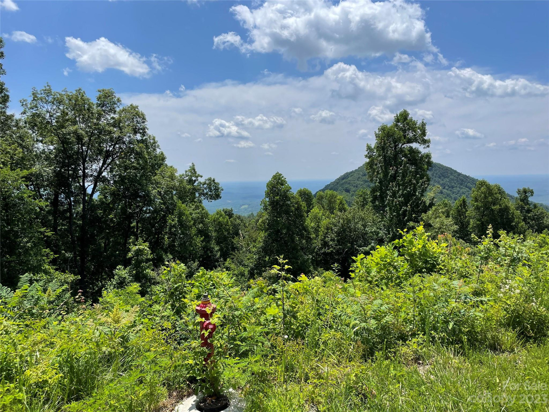 92 Devin Ridge Lane - Photo 26