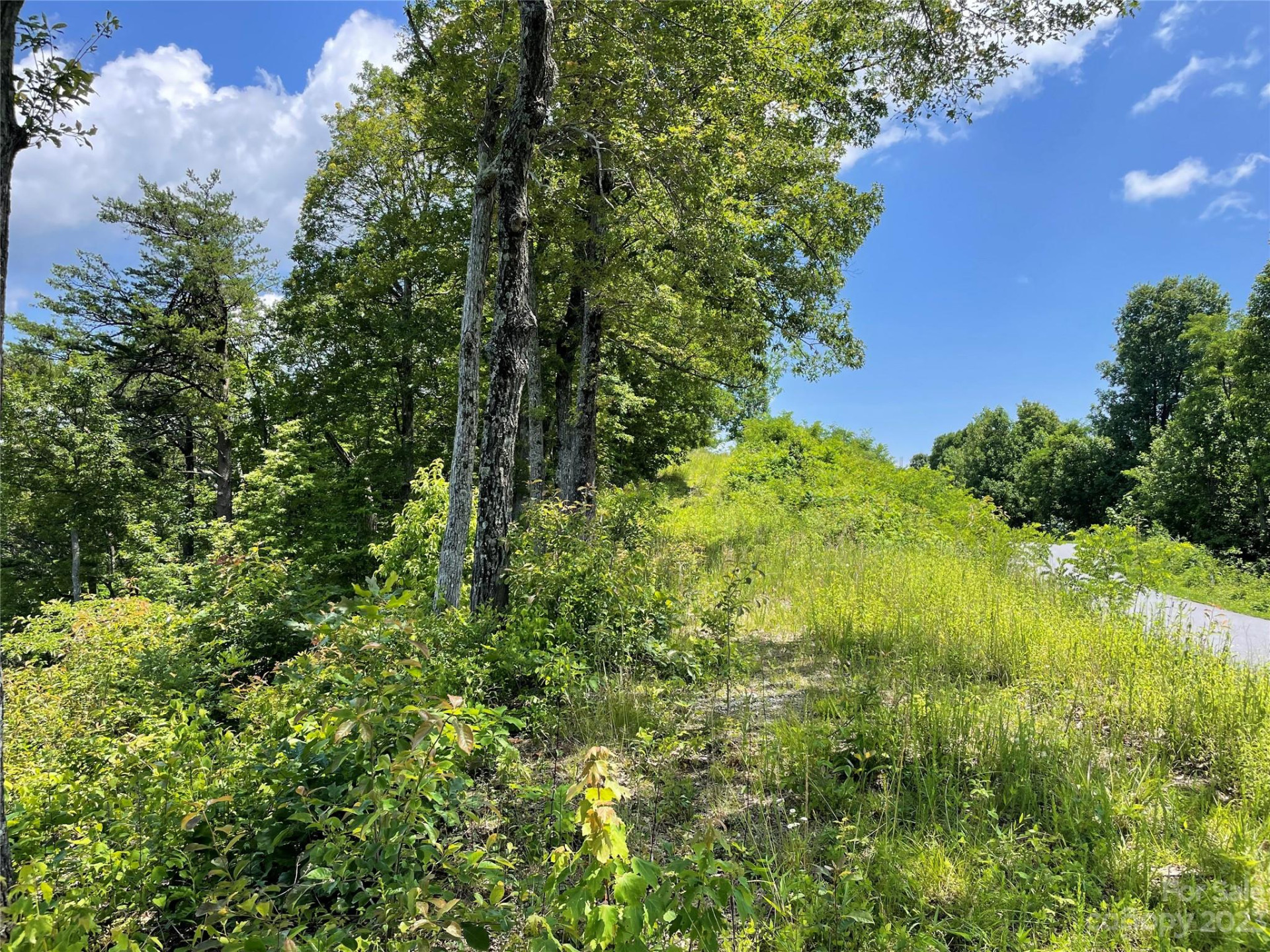 92 Devin Ridge Lane - Photo 27