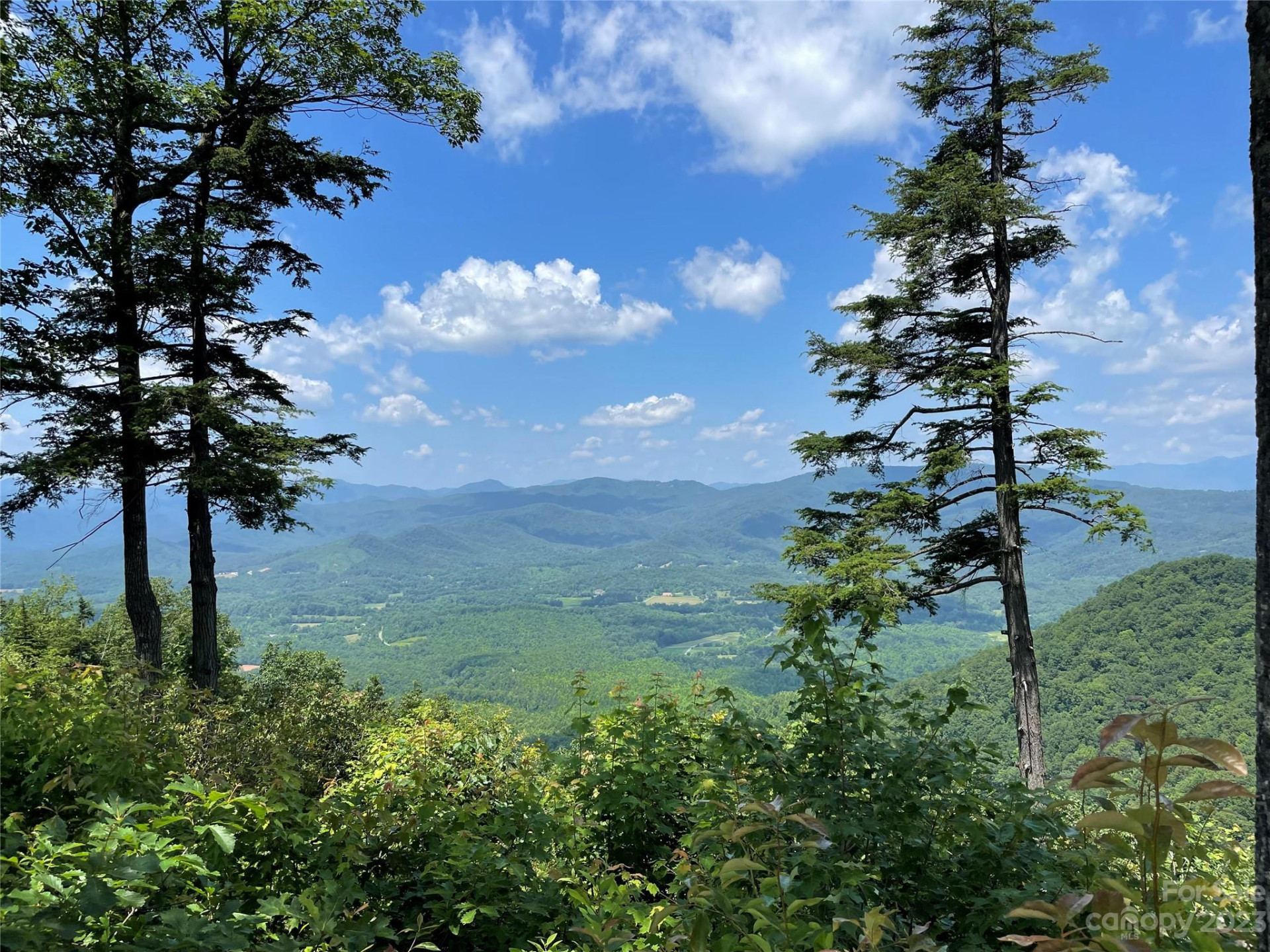 92 Devin Ridge Lane - Photo 28