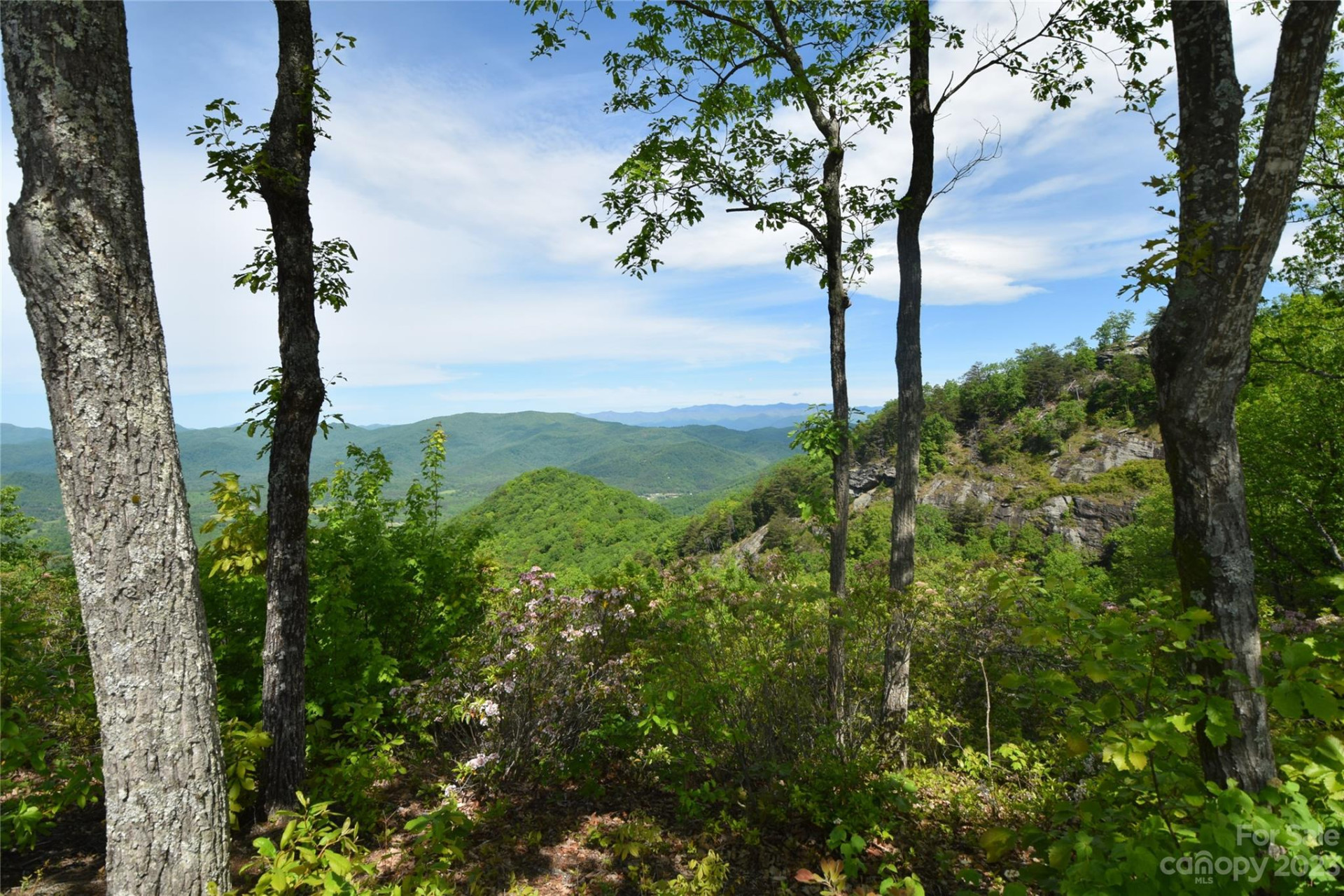 92 Devin Ridge Lane - Photo 6