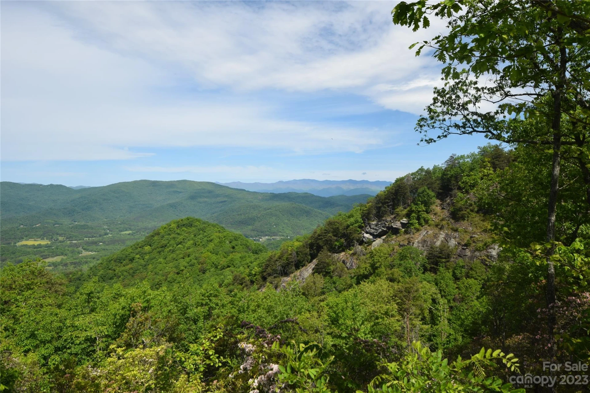 92 Devin Ridge Lane - Photo 8