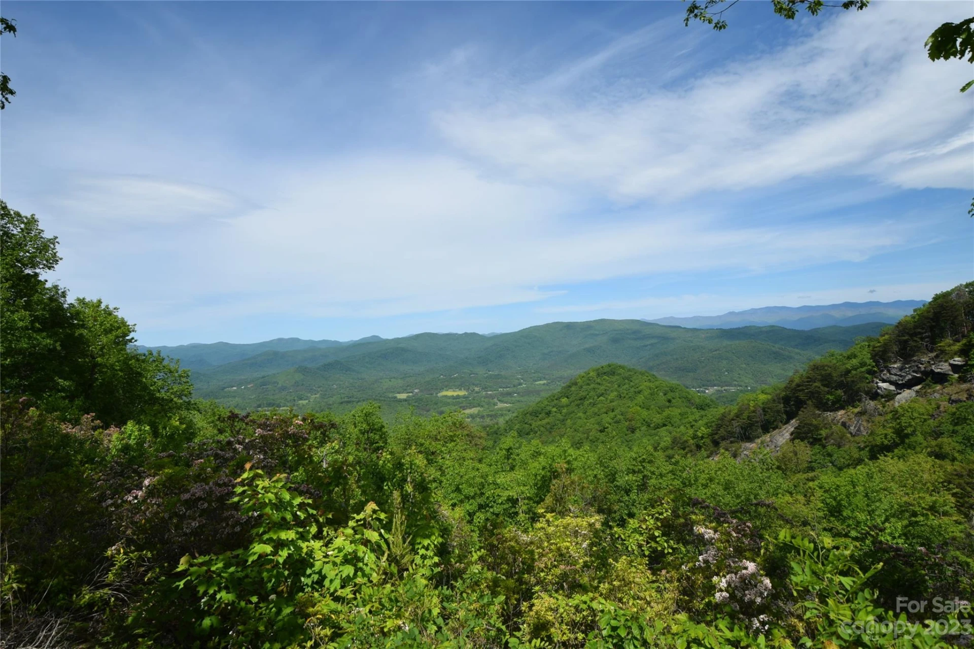 92 Devin Ridge Lane - Photo 9