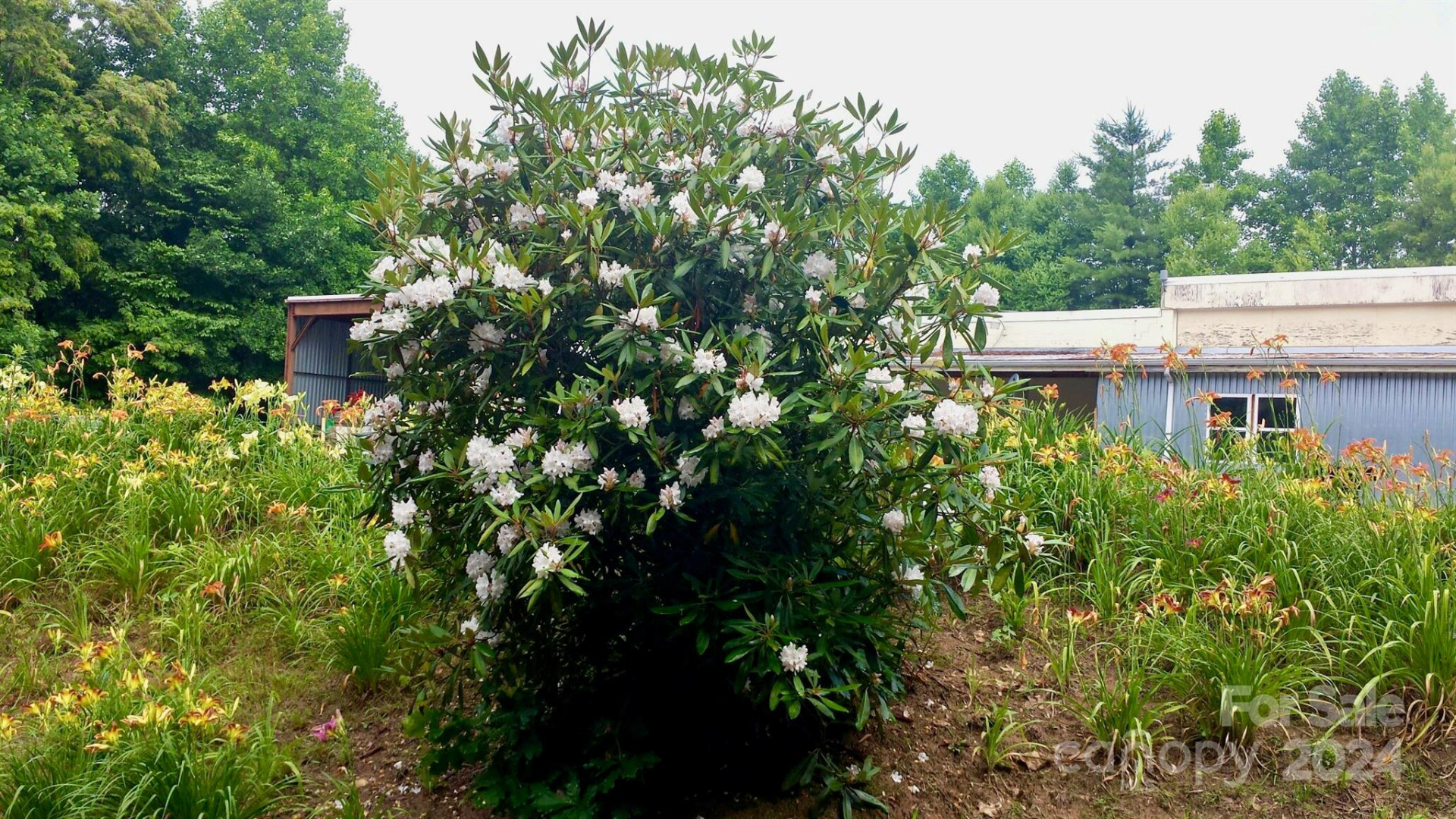 350 Henredon Road - Photo 39