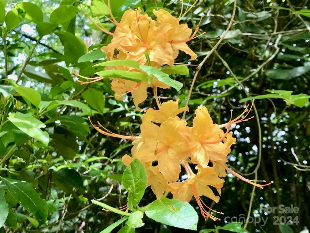 350 Henredon Road - Photo 40