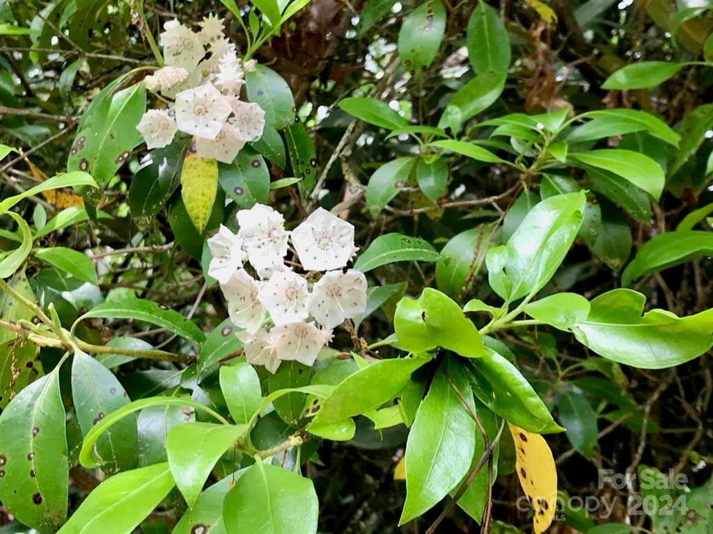 350 Henredon Road - Photo 41