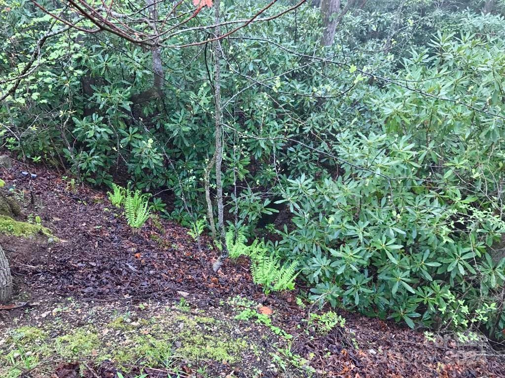 350 Henredon Road - Photo 42