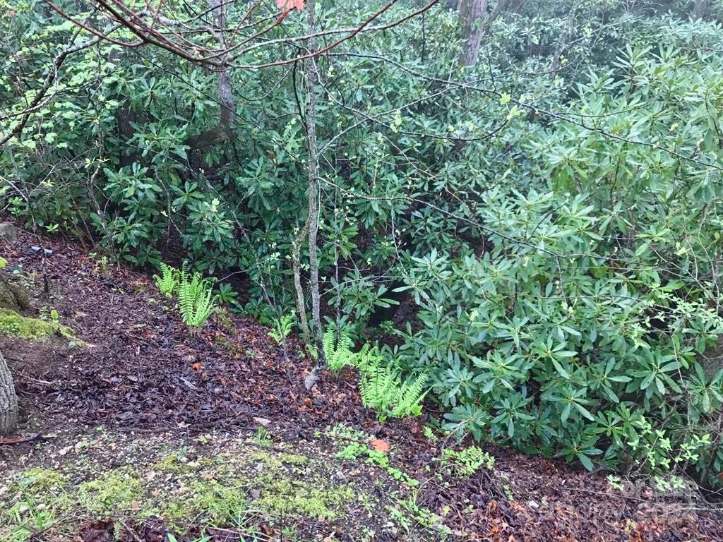 350 Henredon Road - Photo 42