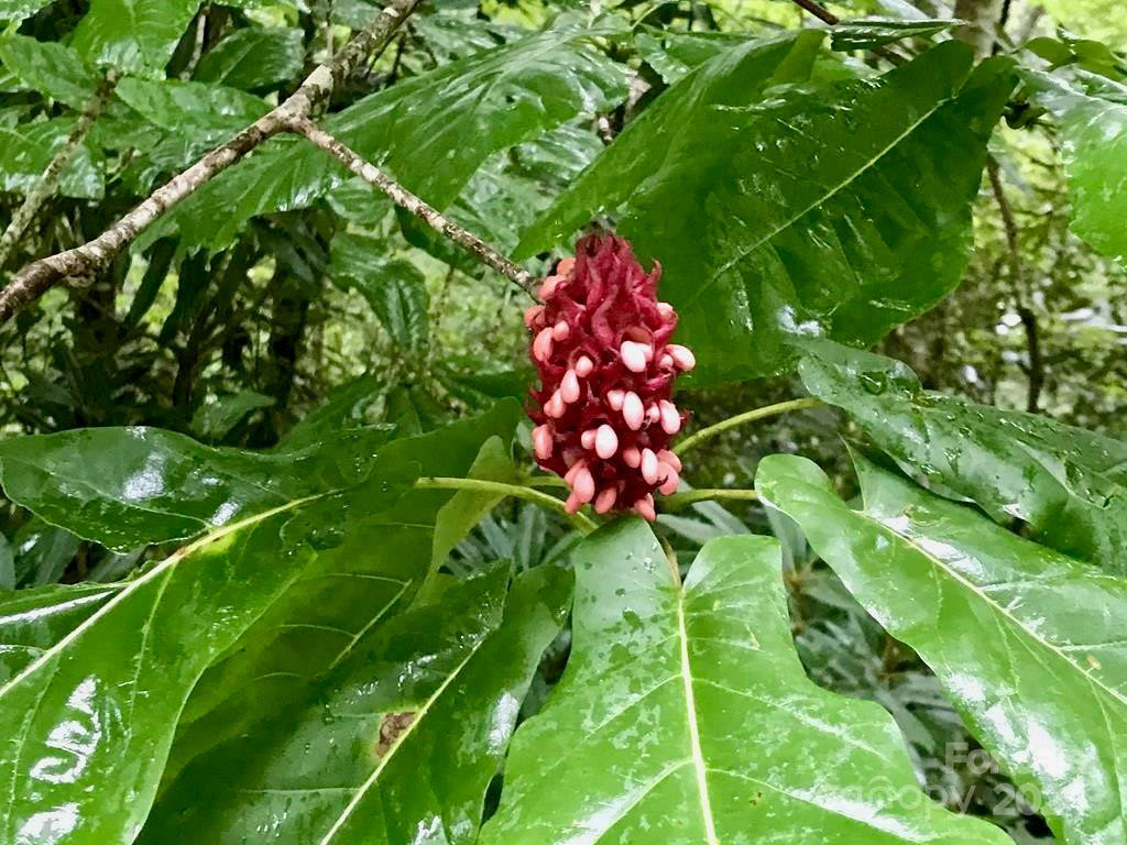 350 Henredon Road - Photo 43