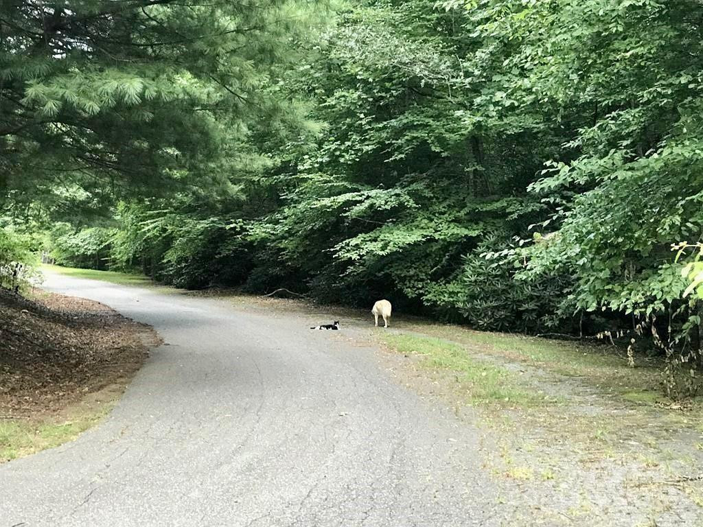 350 Henredon Road - Photo 44