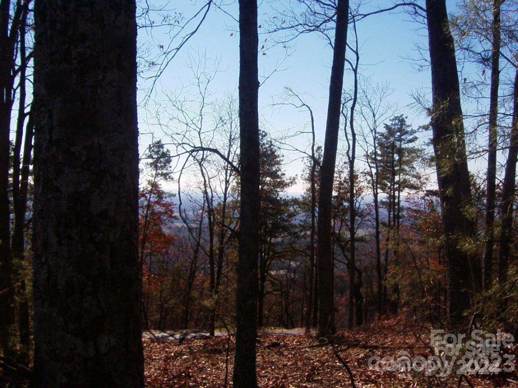 0 Brighton Drive #224 - Photo 21