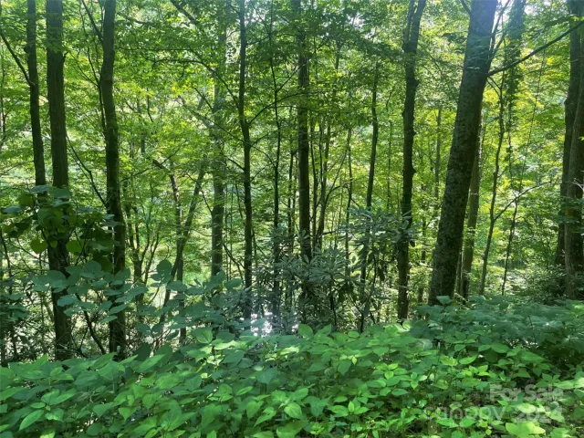 Bakersville, NC, 28705