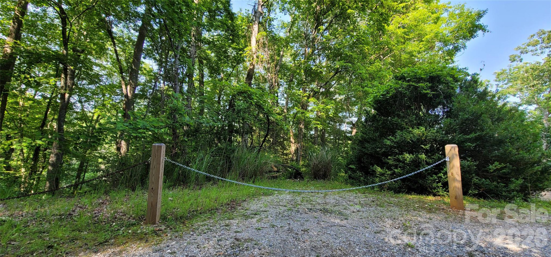 00 Deer Park Lake Road - Photo 2