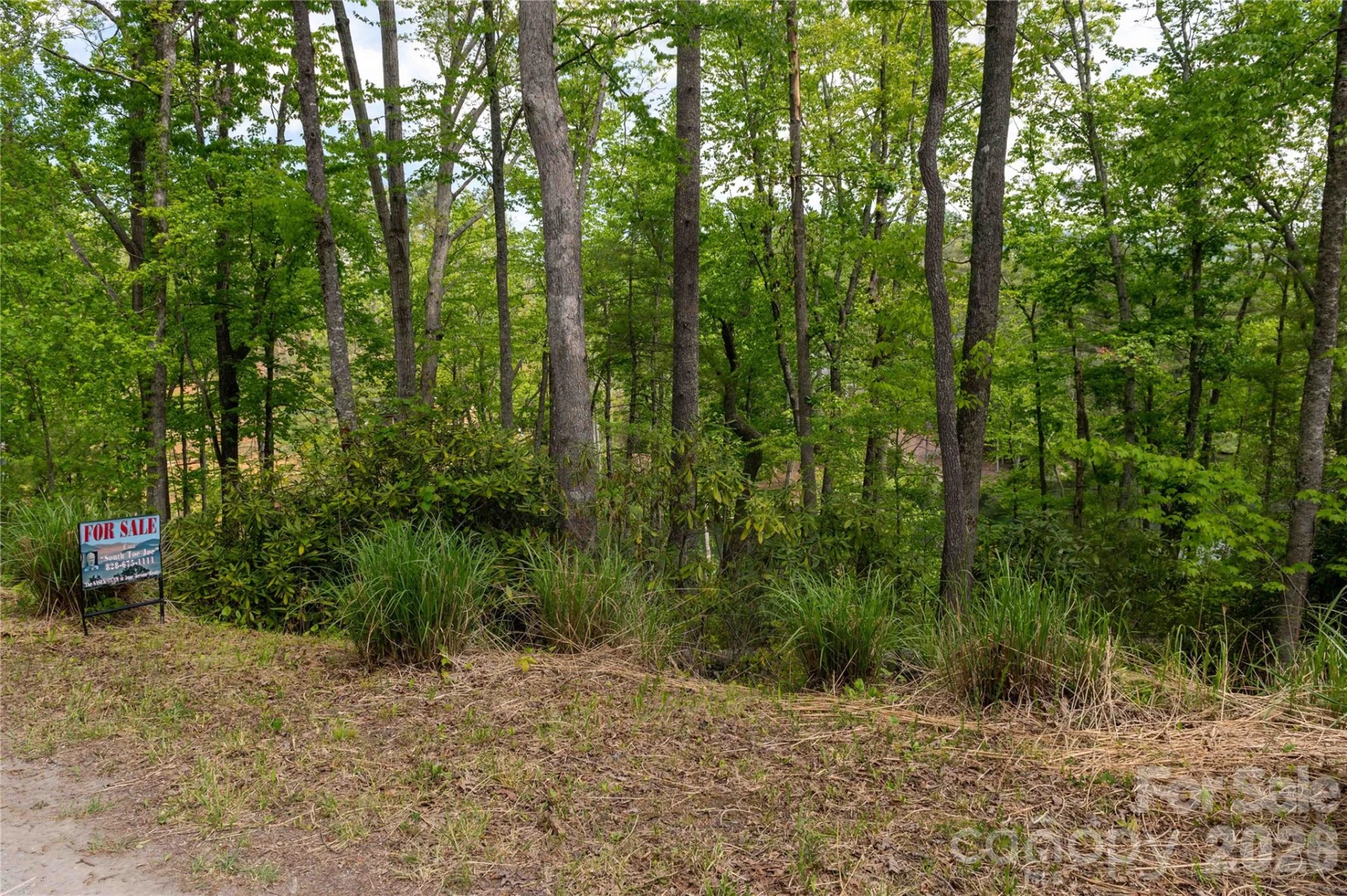 00 Deer Park Lake Road - Photo 2