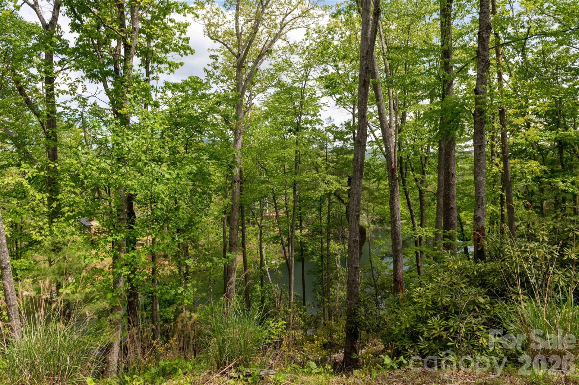 00 Deer Park Lake Road - Photo 13