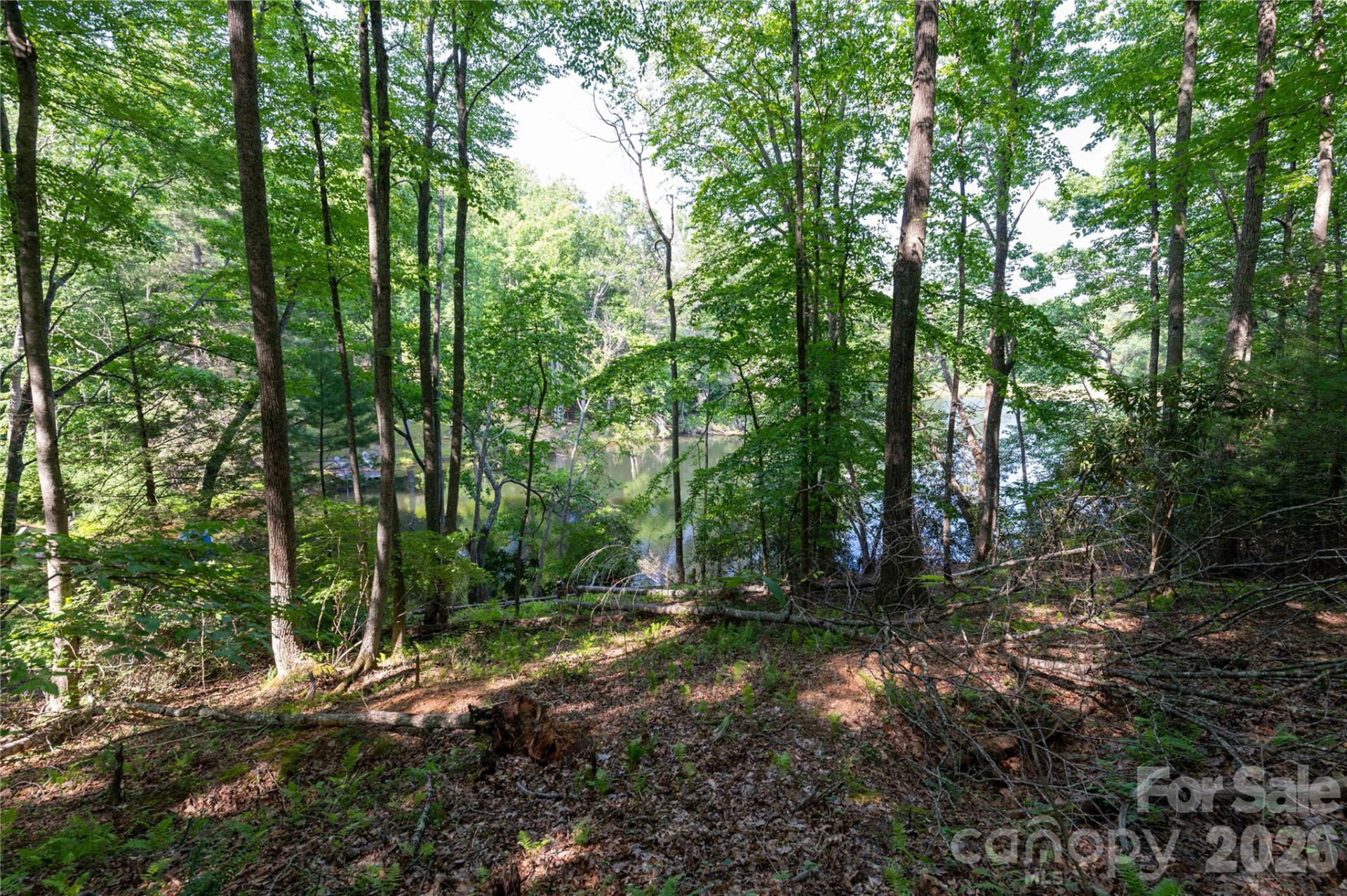 00 Deer Park Lake Road - Photo 12