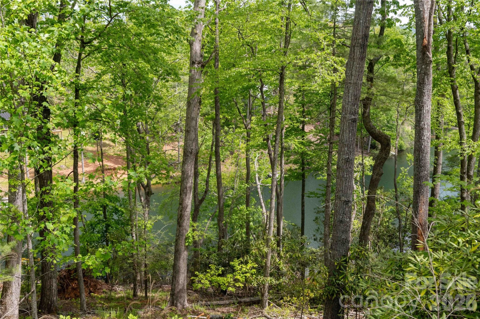 00 Deer Park Lake Road - Photo 15