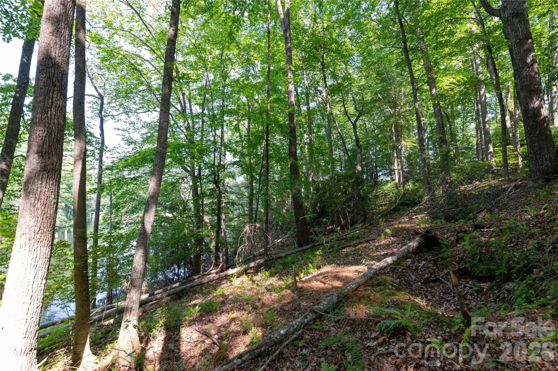 00 Deer Park Lake Road - Photo 13