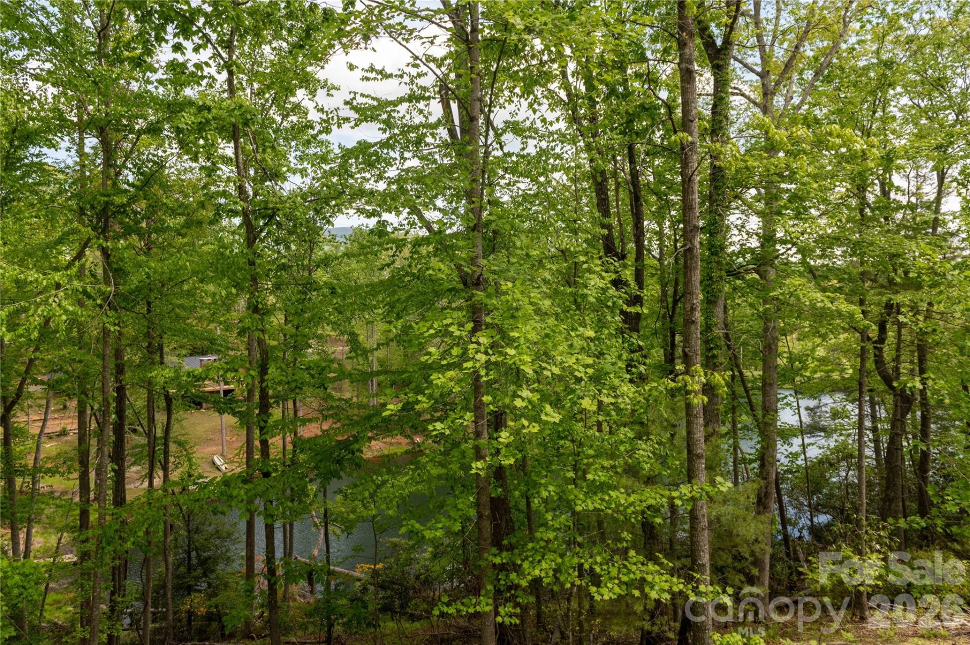 00 Deer Park Lake Road - Photo 17