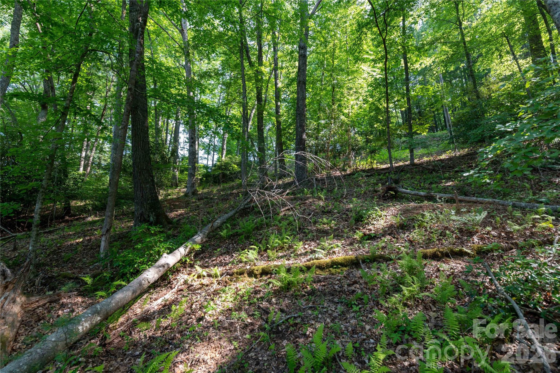 00 Deer Park Lake Road - Photo 14