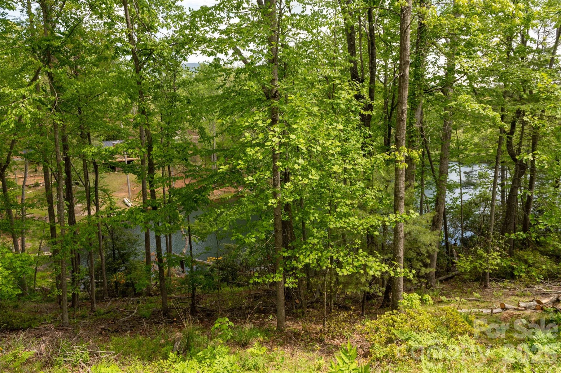 00 Deer Park Lake Road - Photo 19