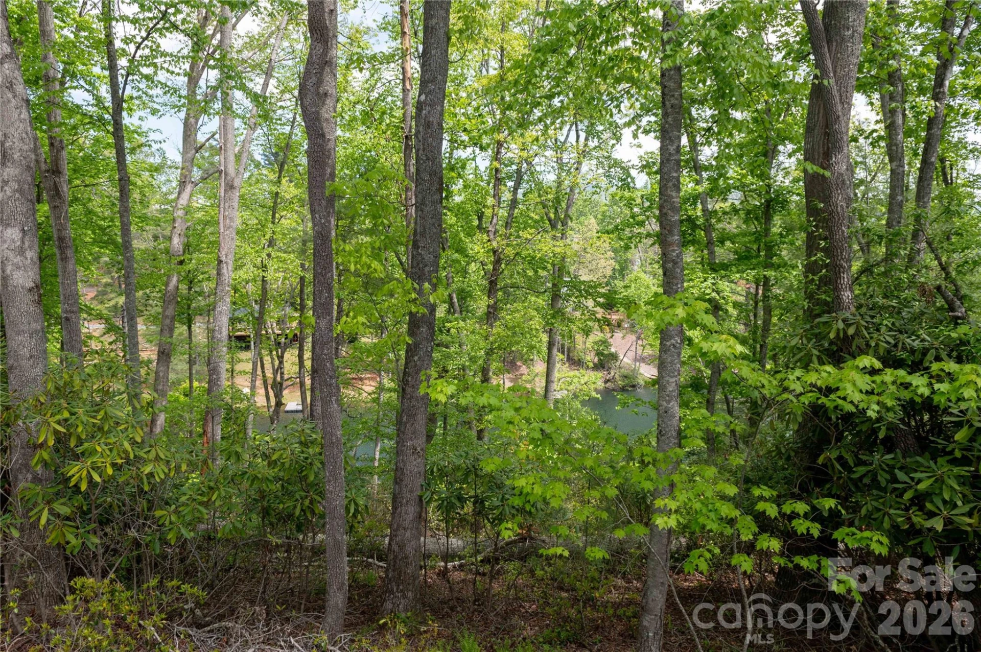 00 Deer Park Lake Road - Photo 21