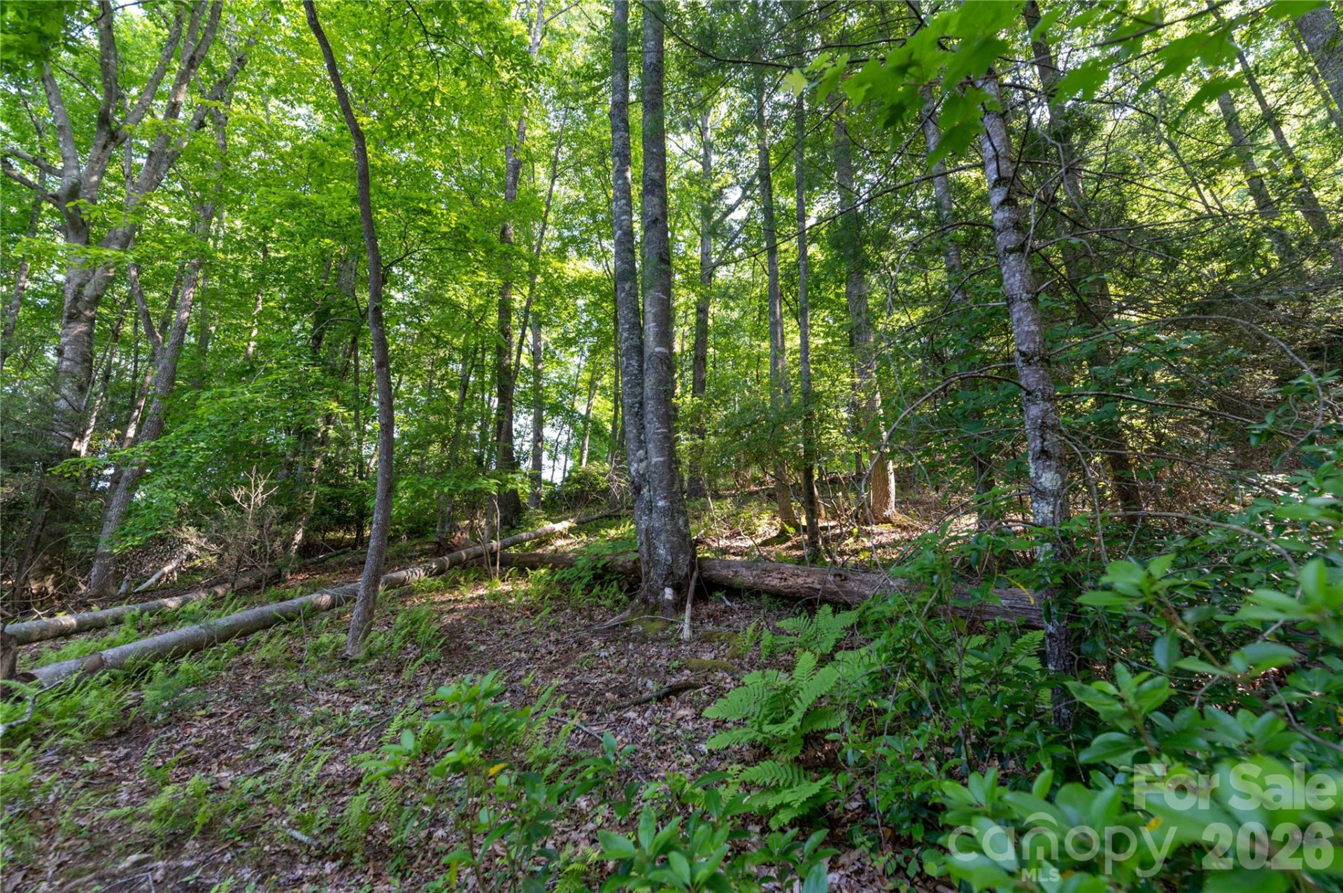 00 Deer Park Lake Road - Photo 16