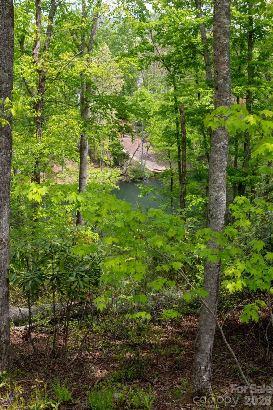 00 Deer Park Lake Road - Photo 23