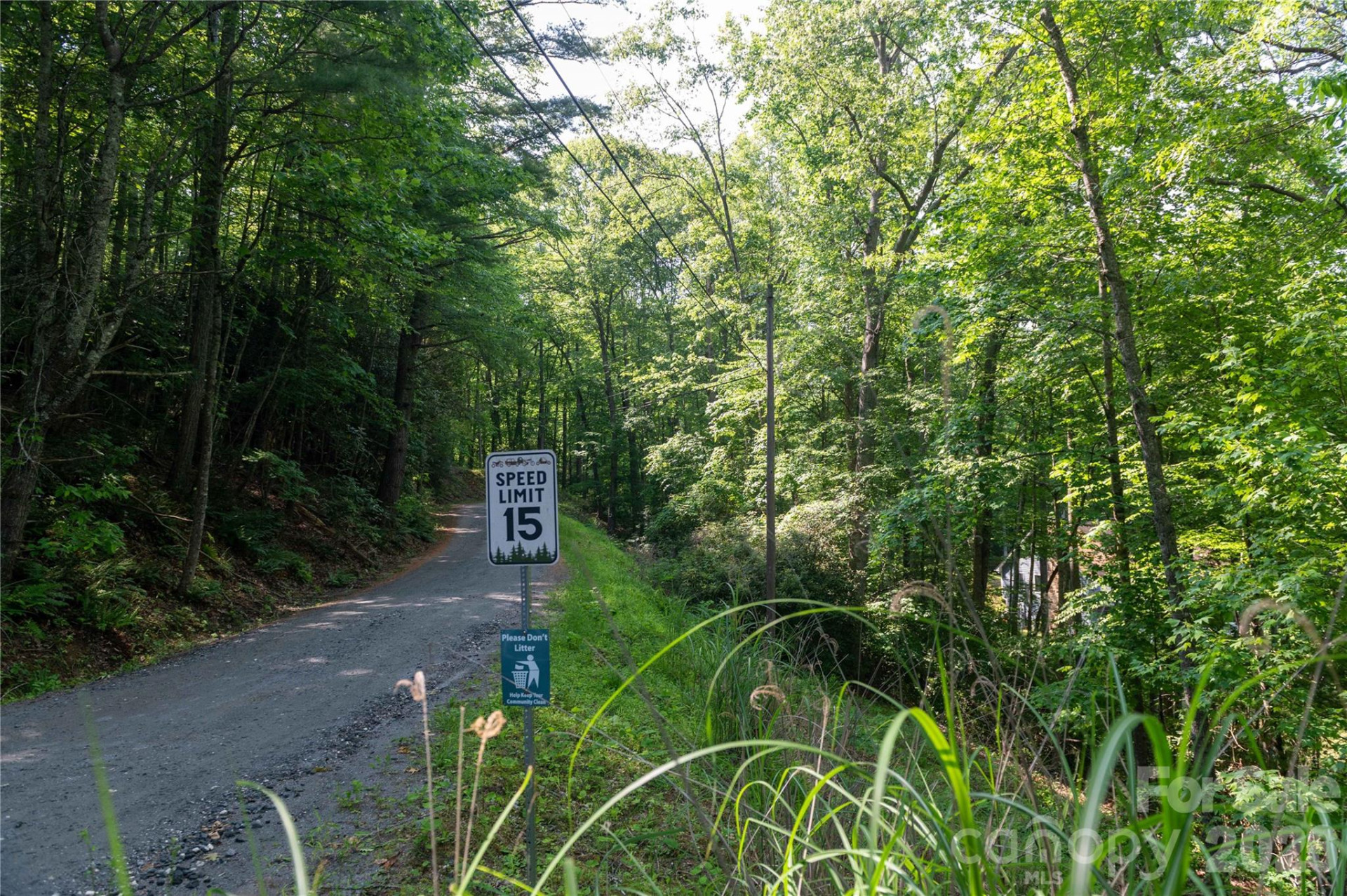 00 Deer Park Lake Road - Photo 17