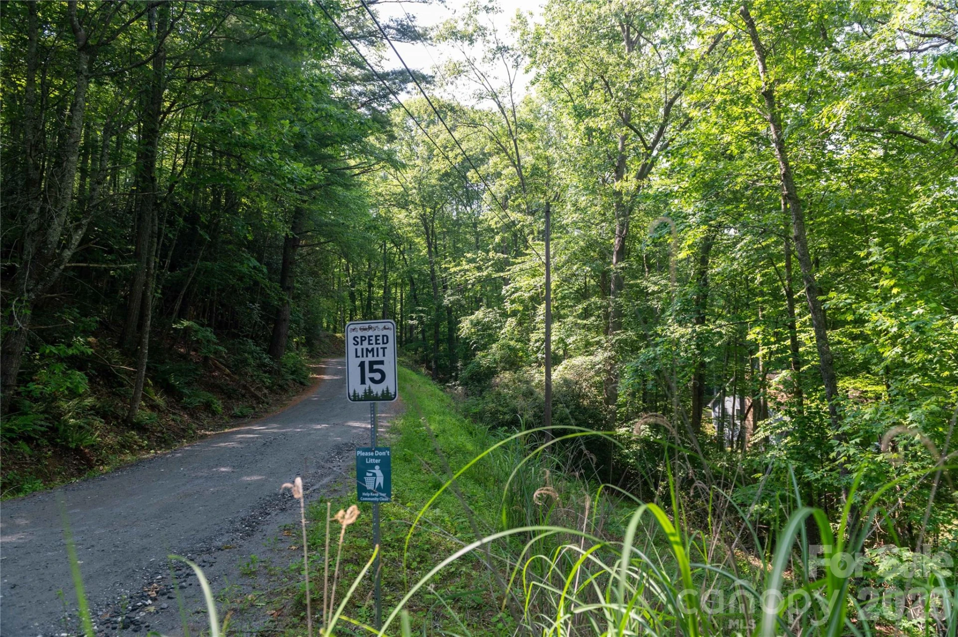 00 Deer Park Lake Road - Photo 25