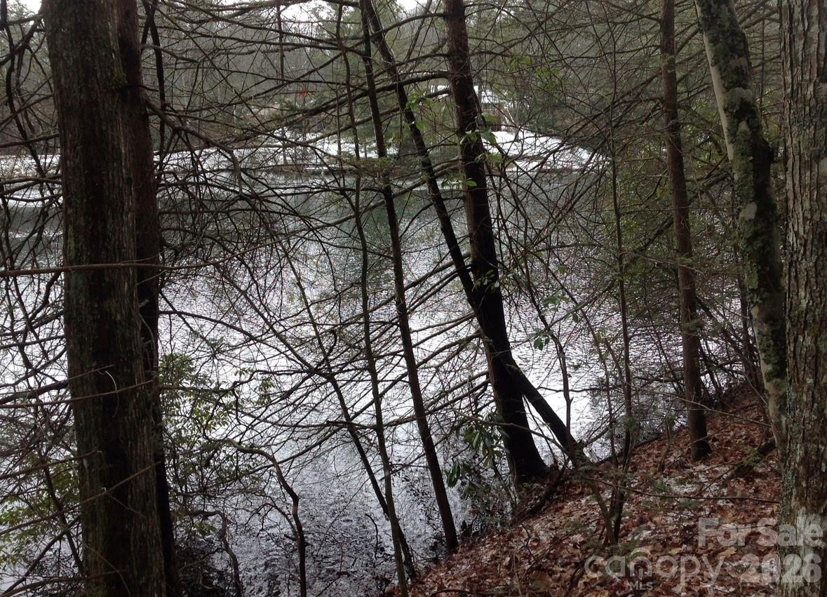 00 Deer Park Lake Road - Photo 19